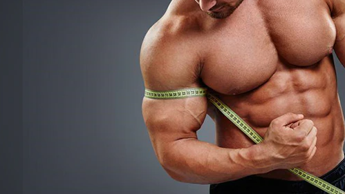 L-Ornithine Benefits for Bodybuilding.png